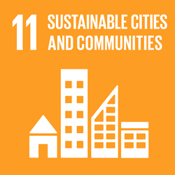SUSTAINABLE CITIES AND COMMUNITIES - Goal11