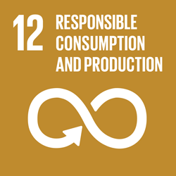 RESPONSIBLE CONSUMPTION AND PRODUCTION - Goal12