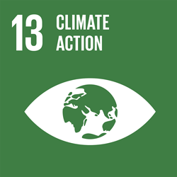 CLIMATE ACTION - Goal13